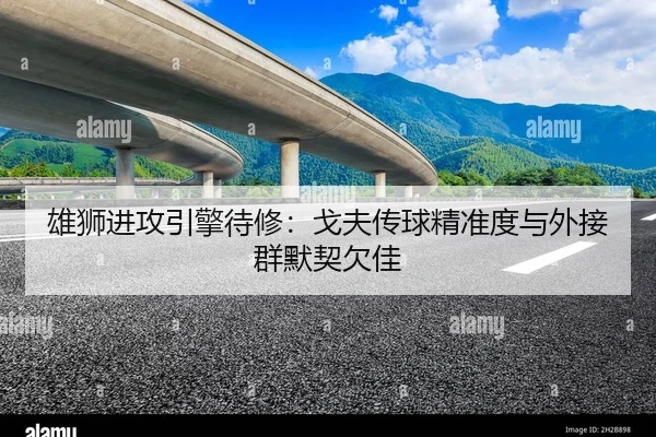 xiong-shi-jin-gong-yin-qing-dai-xiu-ge-fu-chuan-qiu-jing-zhun-du-yu-wai-jie-qun-mo-qi-qian-jia-2-146.jpg